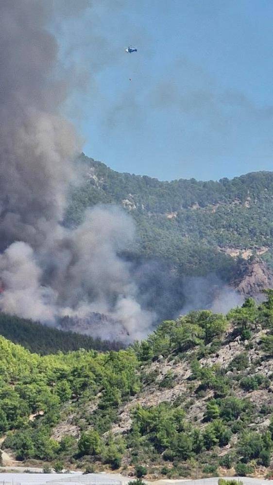 Alevler hızla yayılıyor! Mersin’de ekipler alarma geçti 5