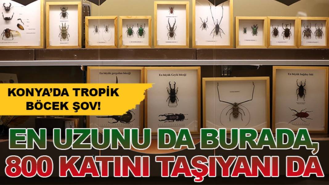 Konya’da bugün neler oldu? İşte 5 Ekim Pazartesi günü olup bitenler… 8