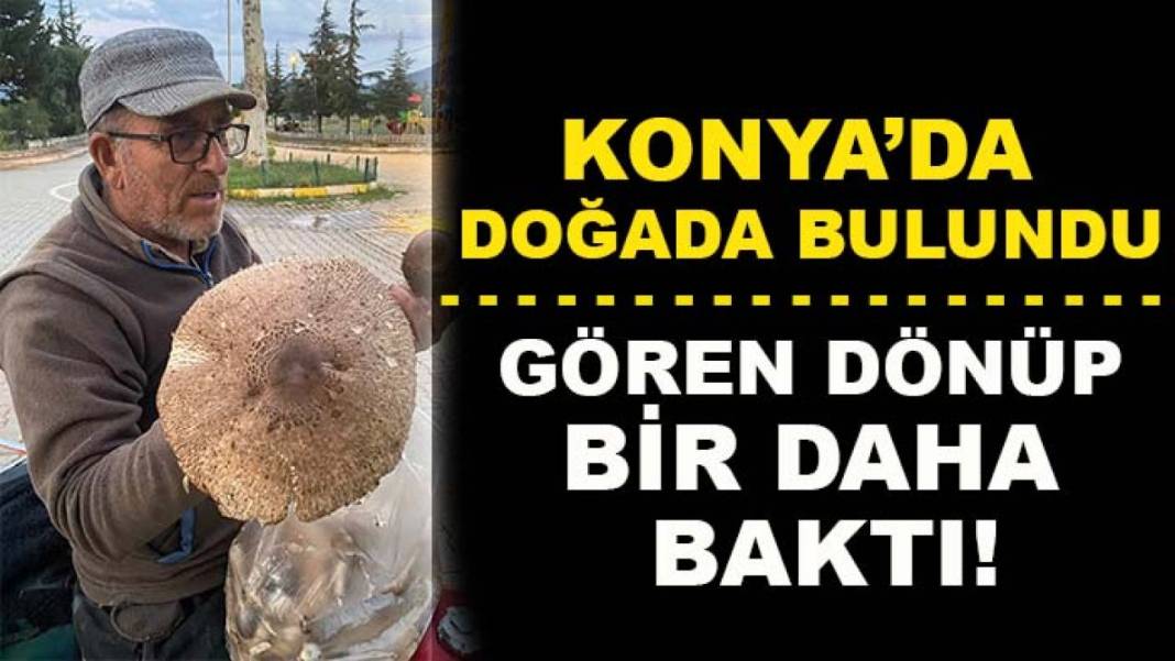 Konya’da bugün neler oldu? İşte 7 Ekim Çarşamba günü olup bitenler… 7