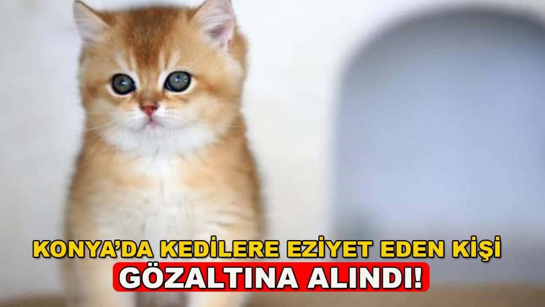 Konya’da bugün neler oldu? İşte 10 Ekim Cumartesi günü olup bitenler… 4