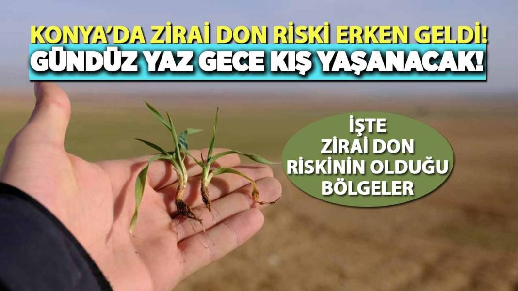 Konya’da bugün neler oldu? İşte 19 Ekim Pazartesi günü olup bitenler… 3