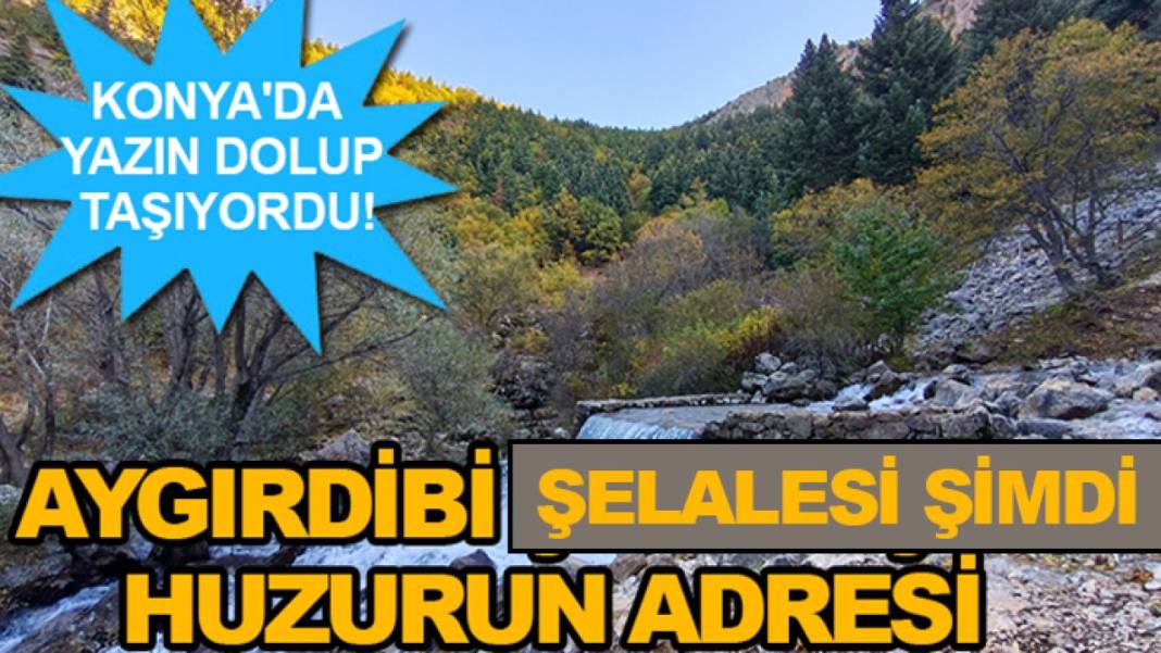 Konya’da bugün neler oldu? İşte 20 Ekim Salı günü olup bitenler… 3
