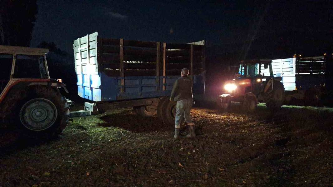 Pancar mesaisi geceye taşındı! Nedeni ise dikkat çekti 2
