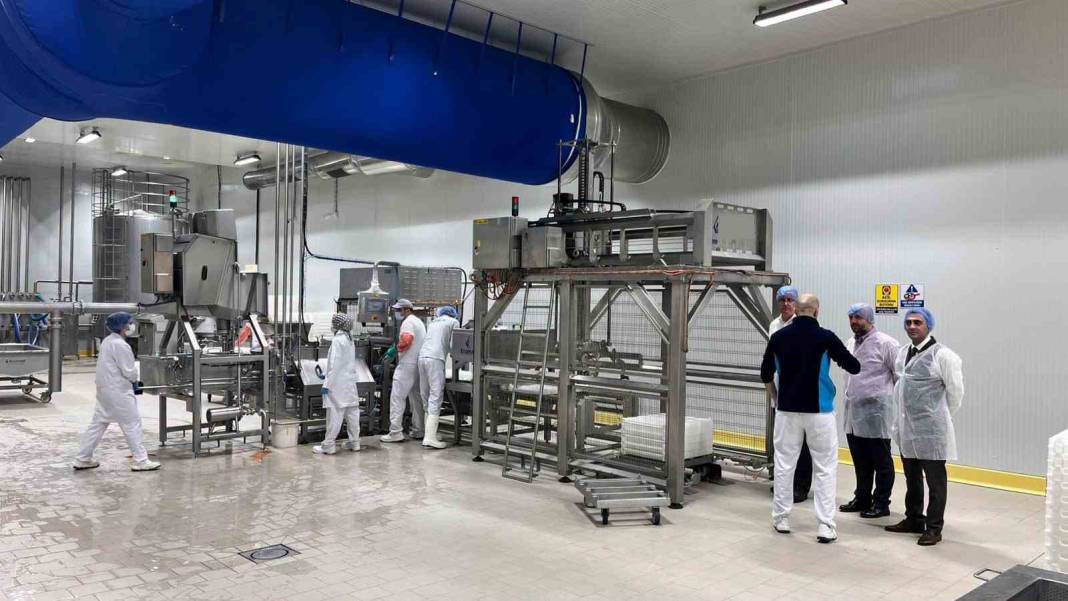 Samsun’da kadın üreticinin lavanta bahçesi dikkat çekti! 5