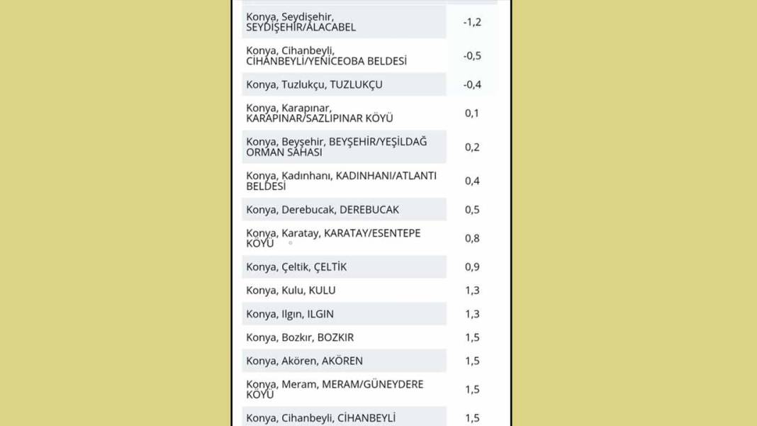 Konya’da zirai don tehlikesi erken geldi: Gündüzü yaz, gecesi kış olacak! 7