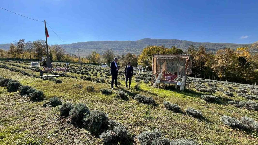Samsun’da kadın üreticinin lavanta bahçesi dikkat çekti! 3