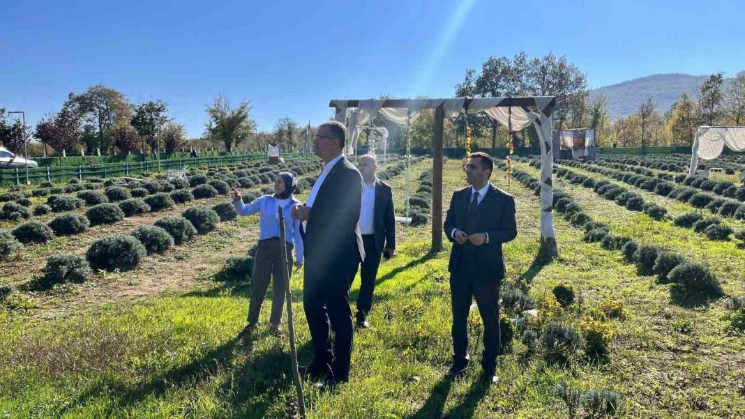 Samsun’da kadın üreticinin lavanta bahçesi dikkat çekti! 1