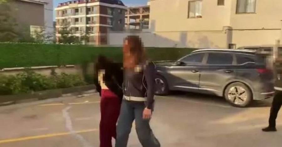 Yasa dışı üreme ticareti operasyonu: 44 gözaltı var 4