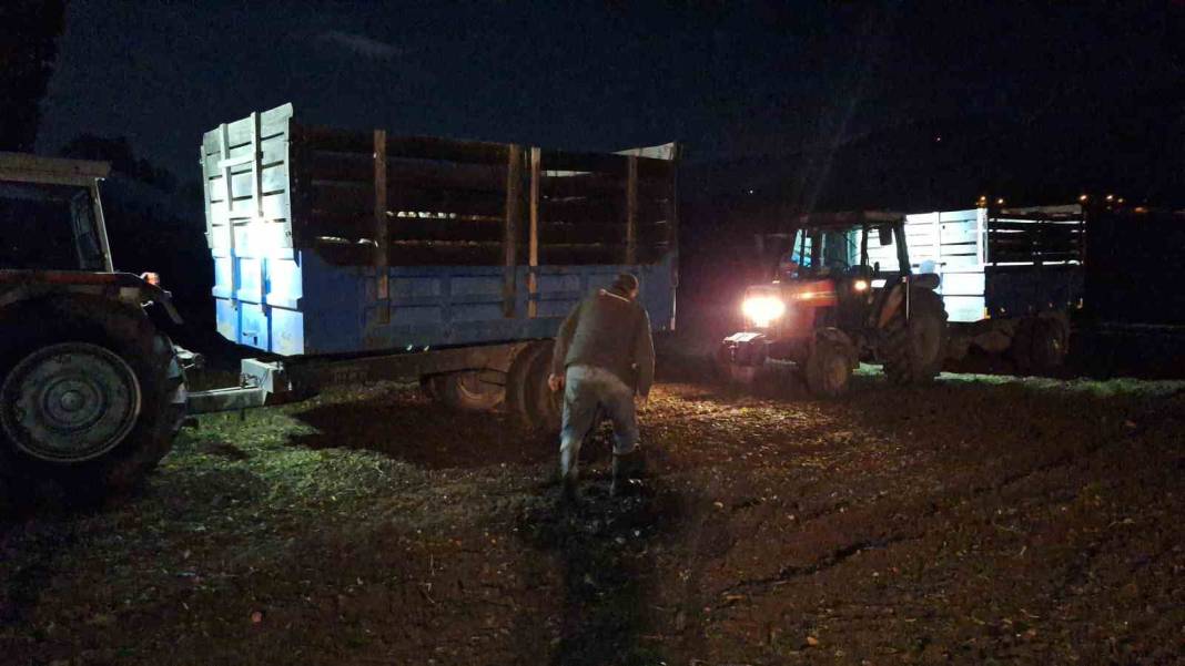Pancar mesaisi geceye taşındı! Nedeni ise dikkat çekti 1