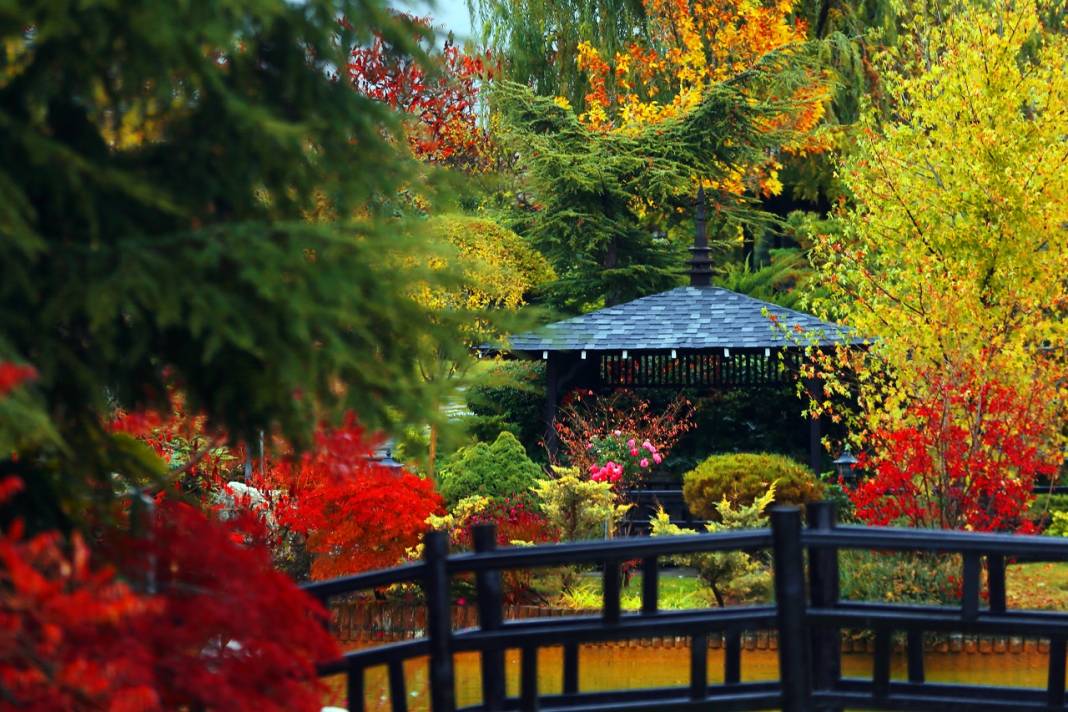 Japon Parkı sonbahar renklerine büründü 1