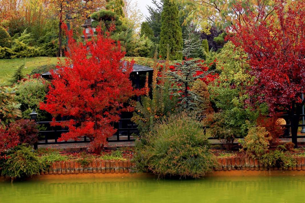 Japon Parkı sonbahar renklerine büründü 4