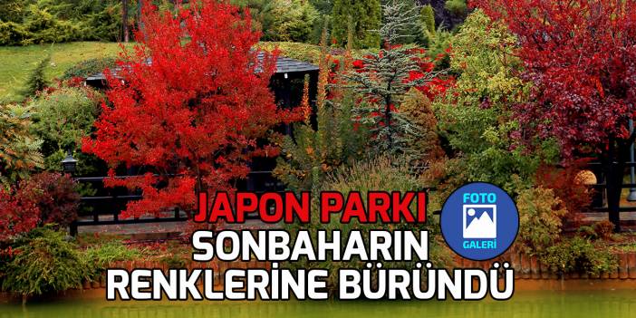 Japon Parkı sonbahar renklerine büründü