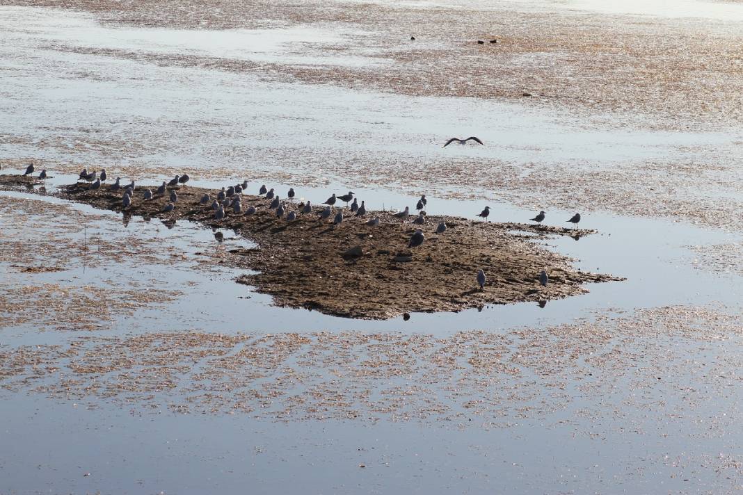 Suyu aşırı çekilen Beyşehir Gölü, kış yağışlarını bekliyor 18