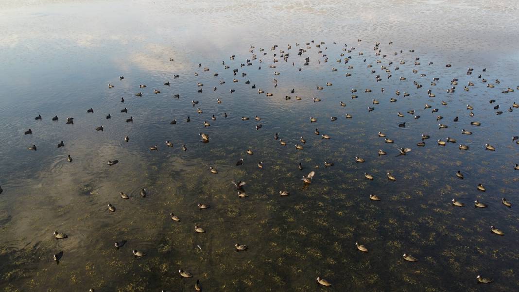 Suyu aşırı çekilen Beyşehir Gölü, kış yağışlarını bekliyor 3