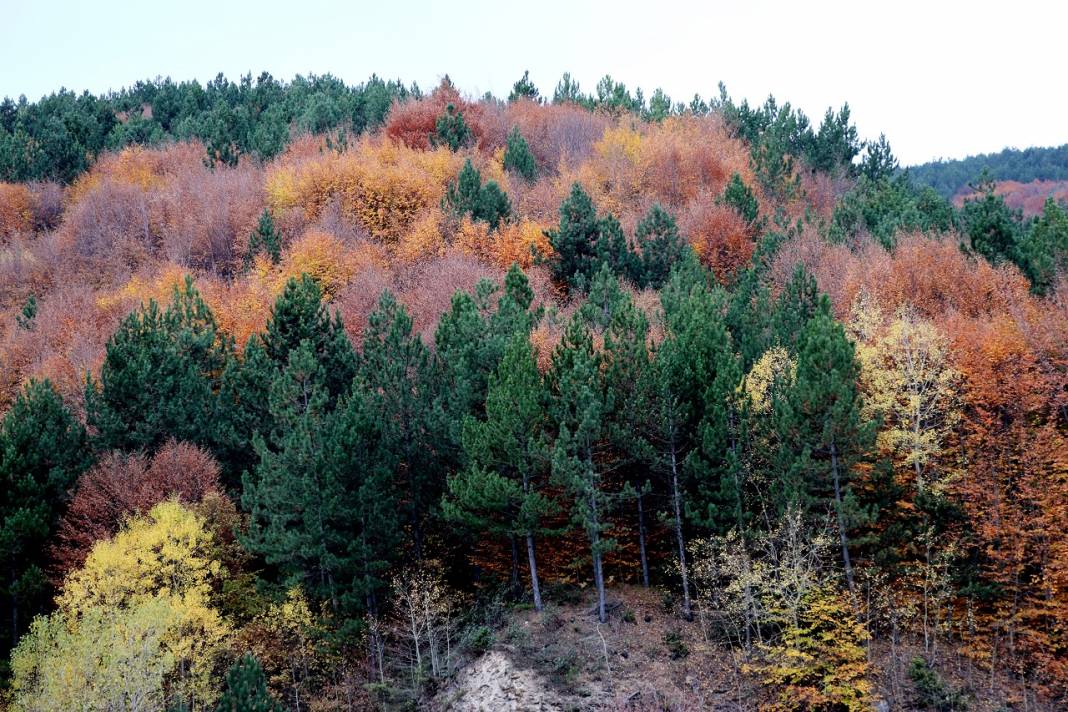 Kütahya'daki Boyalı Dağı sonbahar renklerine büründü 5