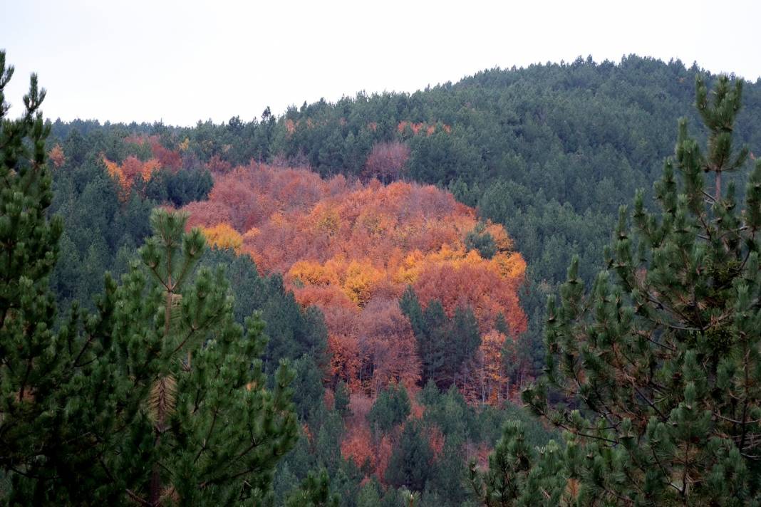Kütahya'daki Boyalı Dağı sonbahar renklerine büründü 6