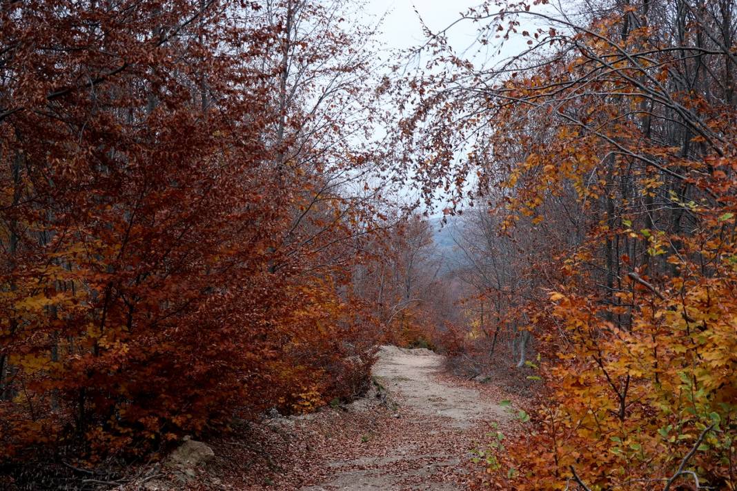 Kütahya'daki Boyalı Dağı sonbahar renklerine büründü 7