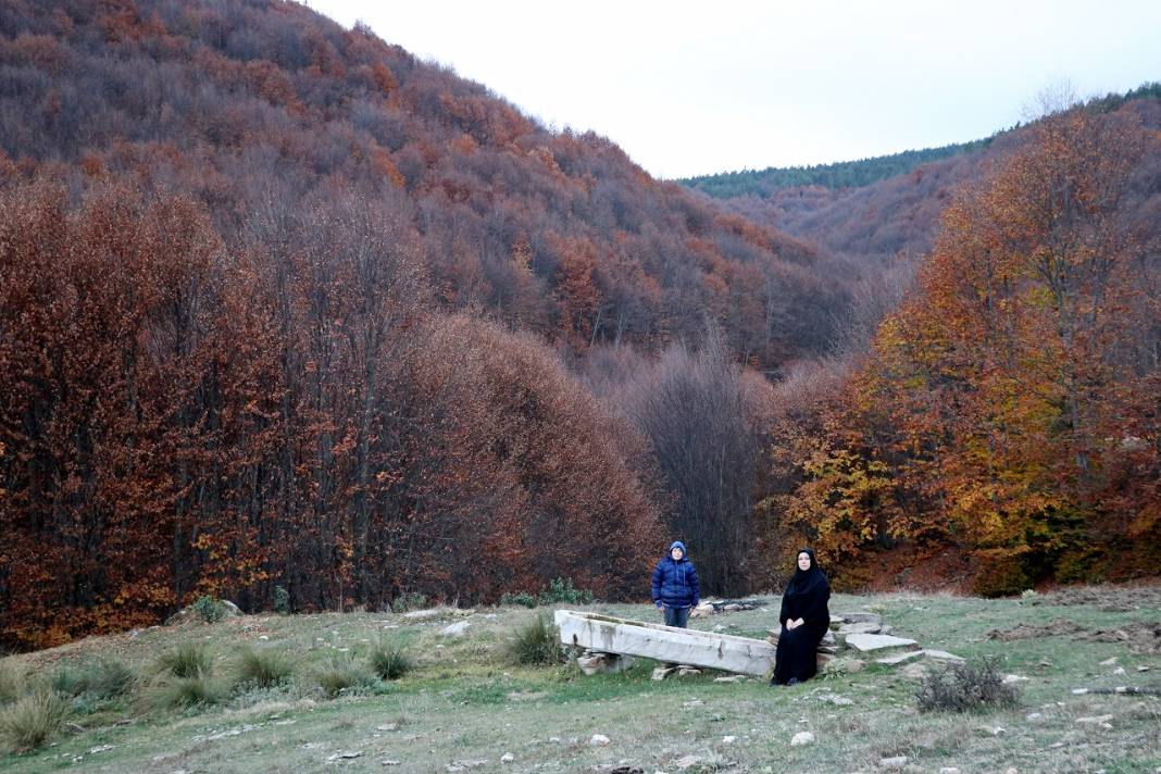 Kütahya'daki Boyalı Dağı sonbahar renklerine büründü 8
