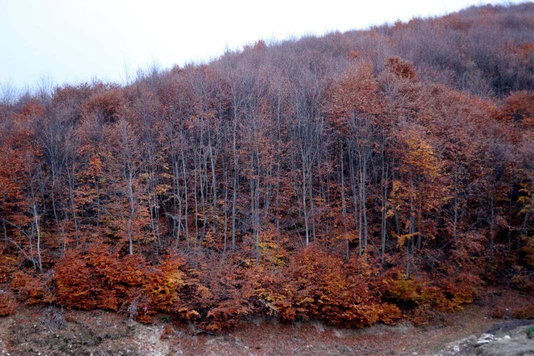 Kütahya'daki Boyalı Dağı sonbahar renklerine büründü 9