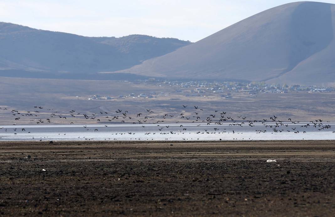 Gözlemciler, Muş Ovası'ndaki binlerce kuşun göçünü kayıt altına aldı 8