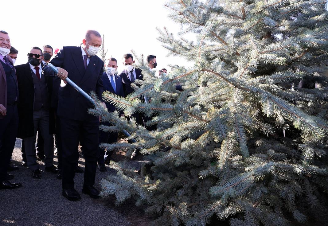 Türkiye Cumhurbaşkanı Recep Tayyip Erdoğan Milli Ağaçlandırma Günü Fidan Dikim Töreni’ne katıldı 15