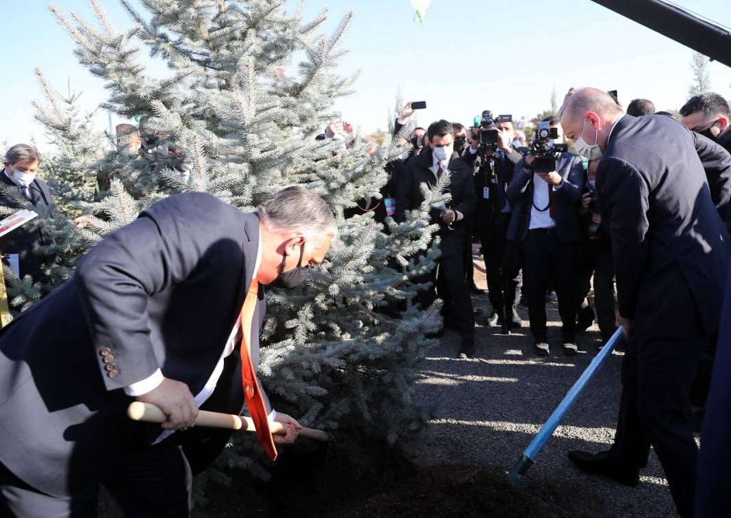 Türkiye Cumhurbaşkanı Recep Tayyip Erdoğan Milli Ağaçlandırma Günü Fidan Dikim Töreni’ne katıldı 6