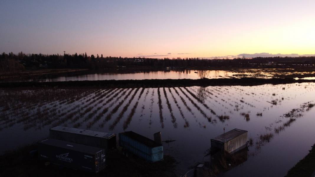 Kanada'da tarım arazileri sular altında kaldı 2