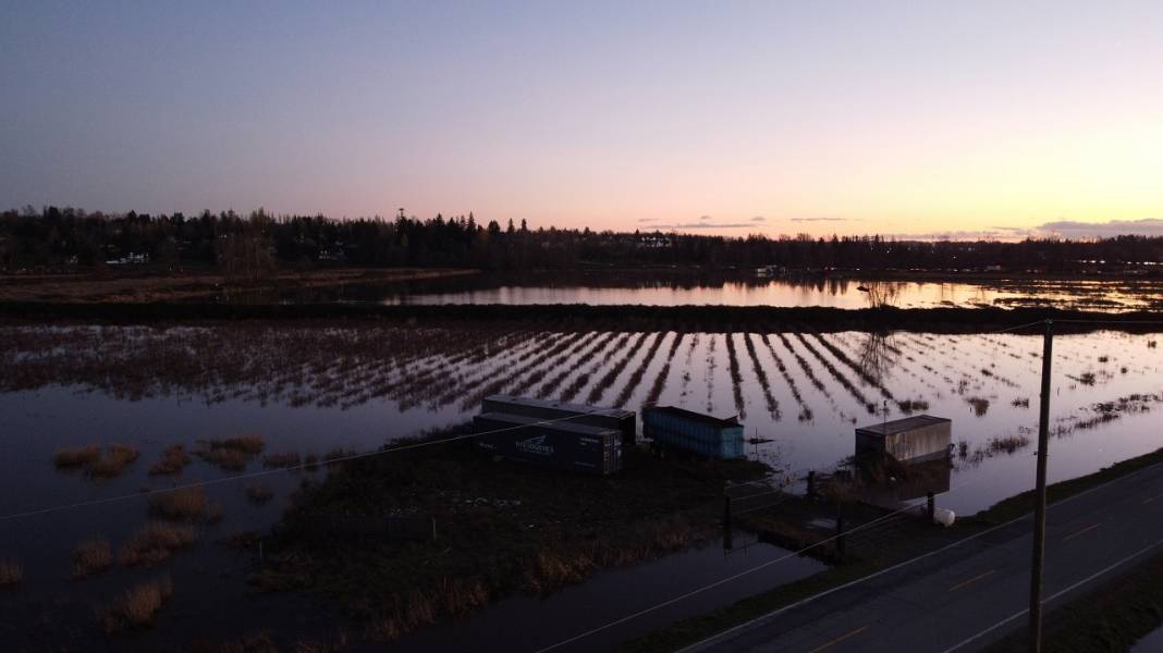 Kanada'da tarım arazileri sular altında kaldı 3