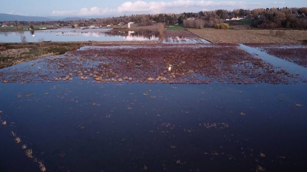 Kanada'da tarım arazileri sular altında kaldı 8