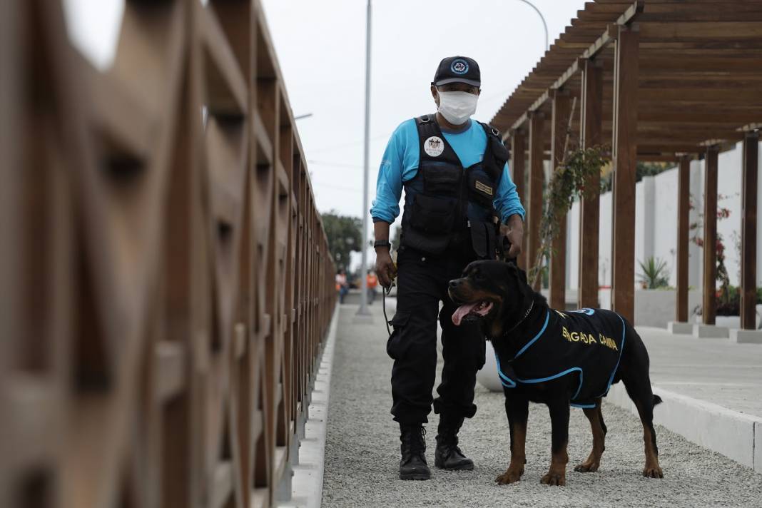 Peru'daki polis köpeği Ozly'nin özel futbol ilgisi 2