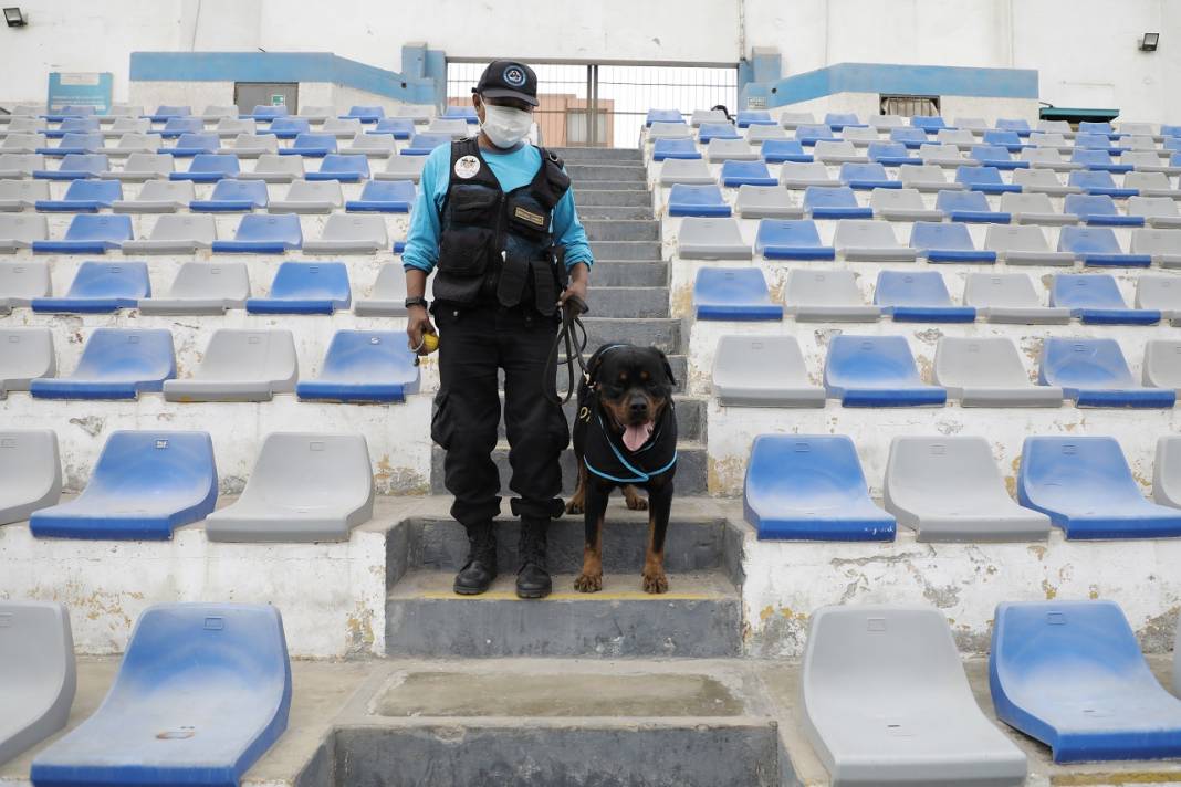 Peru'daki polis köpeği Ozly'nin özel futbol ilgisi 6