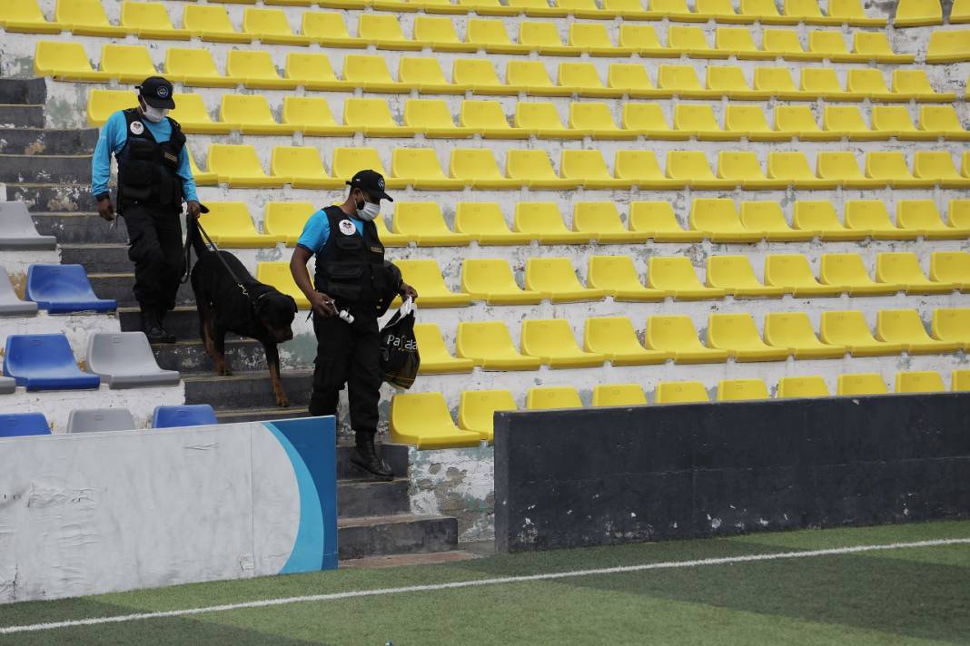 Peru'daki polis köpeği Ozly'nin özel futbol ilgisi 7