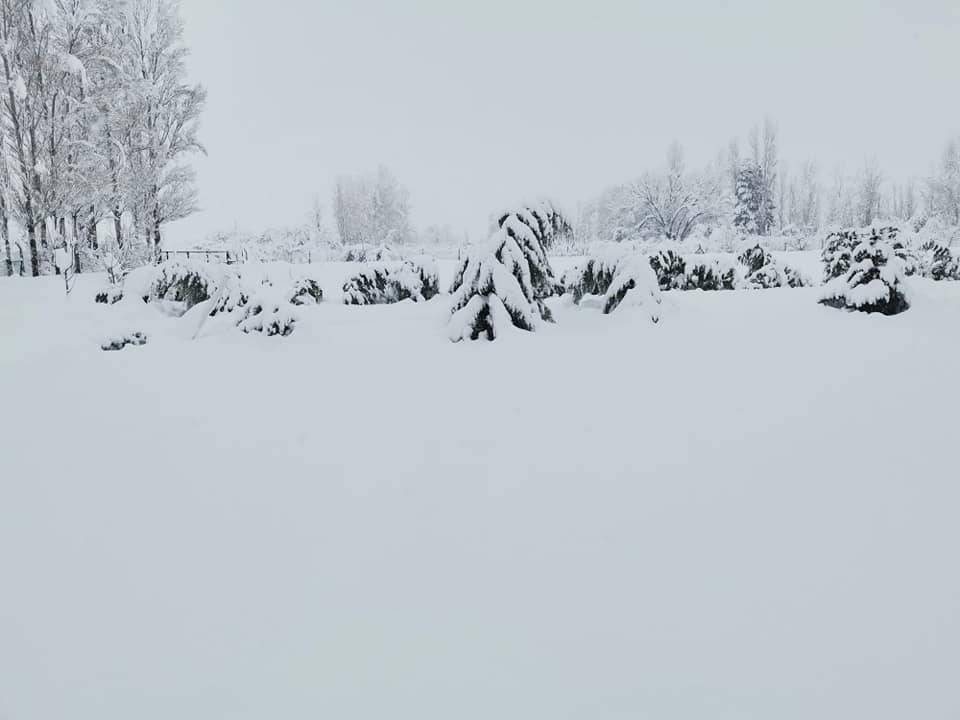 Konya'dan kar manzaraları 36