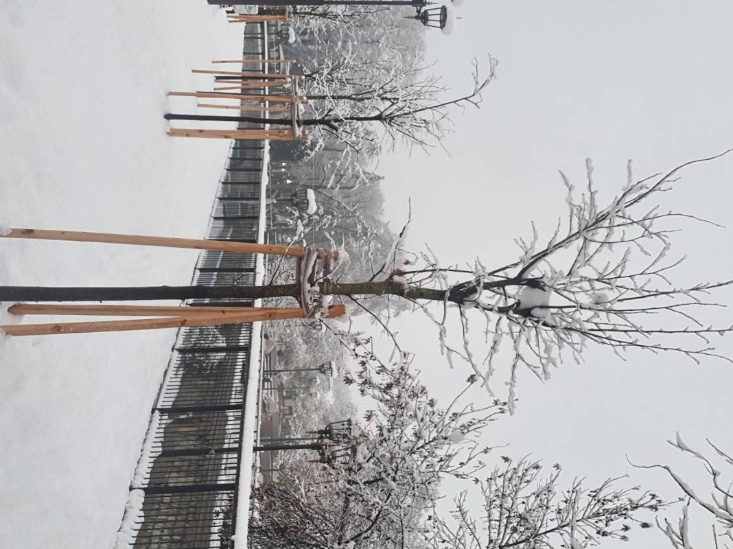 Konya'da kar güzelliği 5