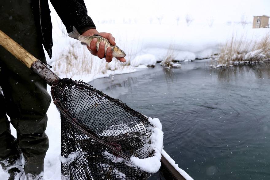 'Ova balıkçıları'nın dondurucu kış şartlarında zorlu mesaisi 11