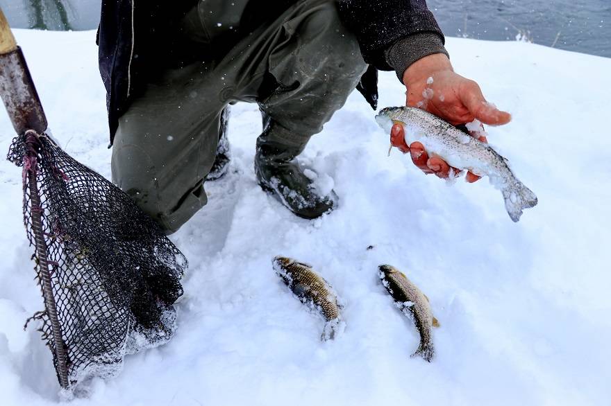 'Ova balıkçıları'nın dondurucu kış şartlarında zorlu mesaisi 12