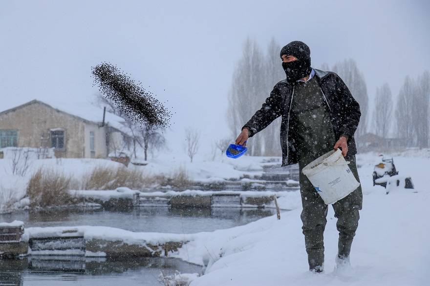 'Ova balıkçıları'nın dondurucu kış şartlarında zorlu mesaisi 3