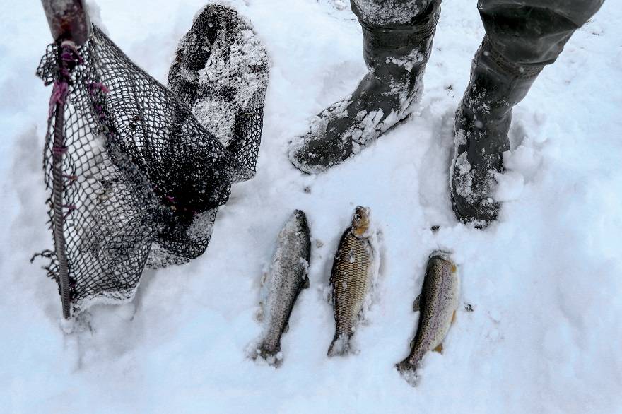 'Ova balıkçıları'nın dondurucu kış şartlarında zorlu mesaisi 4