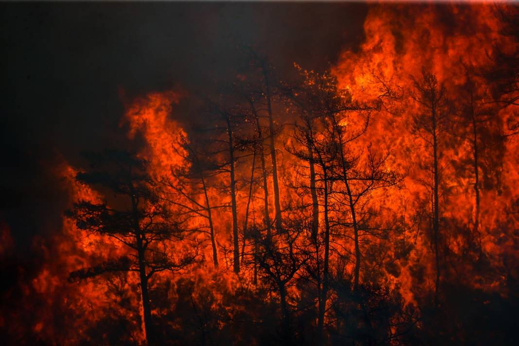 Marmaris'teki orman yangınına havadan ve karadan müdahale ediliyor 5