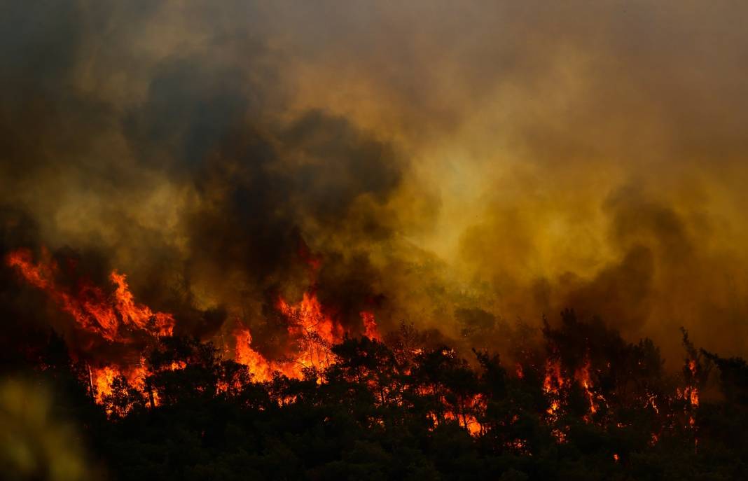 Marmaris'teki orman yangınına havadan ve karadan müdahale ediliyor 6