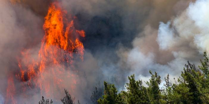 Marmaris'teki orman yangınına havadan ve karadan müdahale ediliyor
