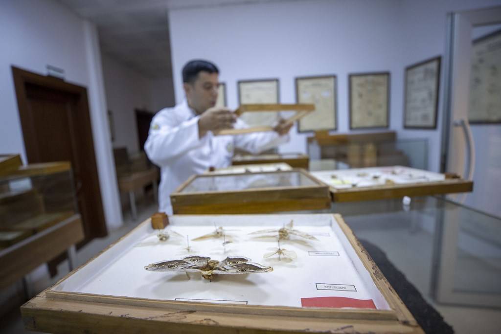 Böcek Müzesi’nde 530 tür sergileniyor 10