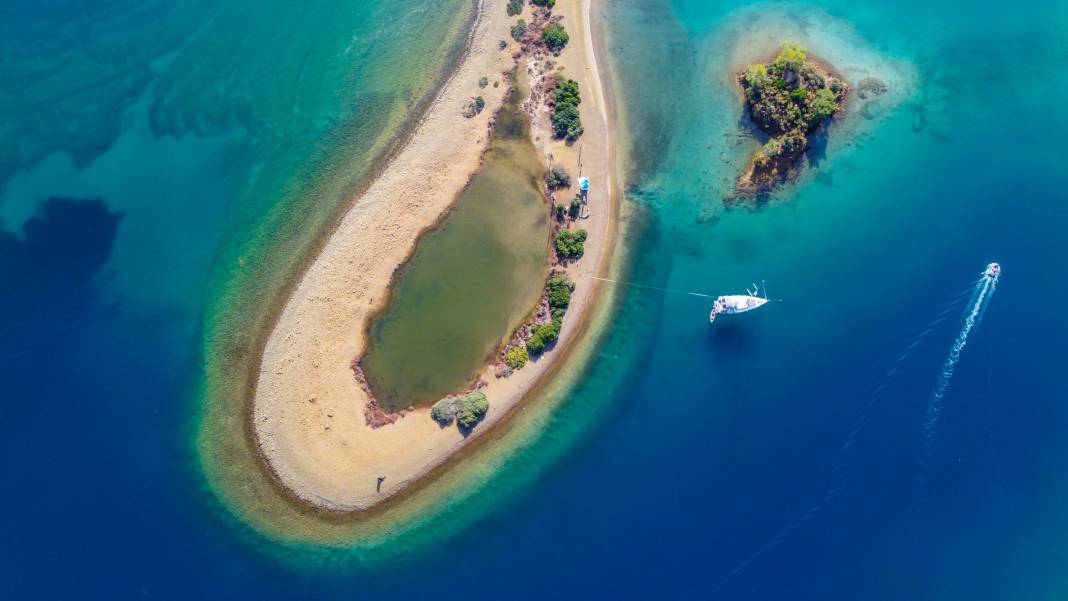 Türkiye Çevre Haftası, "Temiz Deniz, Temiz Dünya" temasıyla kutlanıyor 11