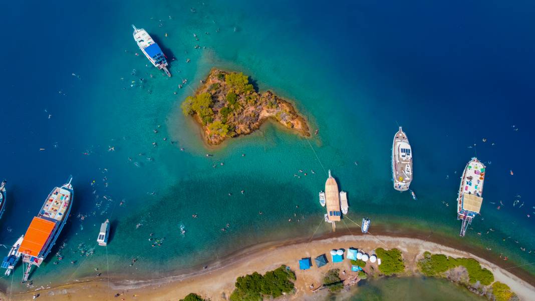 Türkiye Çevre Haftası, "Temiz Deniz, Temiz Dünya" temasıyla kutlanıyor 8