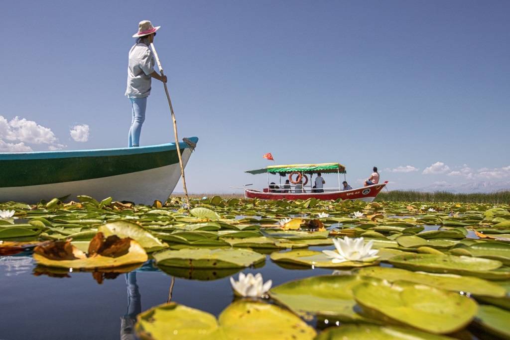 Beyşehir Gölü'nde nilüferler için tekne turları düzenleniyor 11