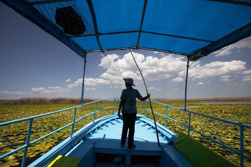 Beyşehir Gölü'nde nilüferler için tekne turları düzenleniyor 14