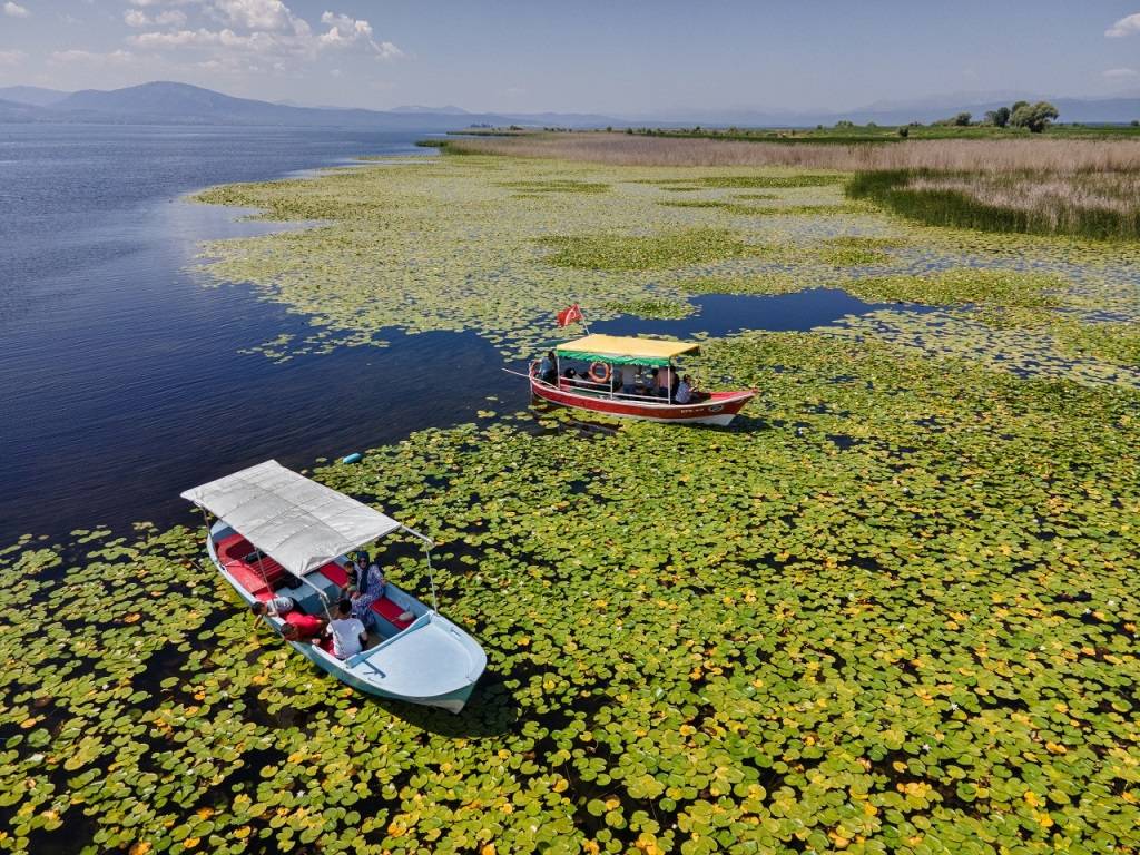 Beyşehir Gölü'nde nilüferler için tekne turları düzenleniyor 5