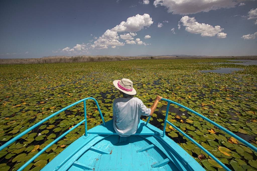Beyşehir Gölü'nde nilüferler için tekne turları düzenleniyor 9