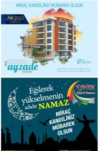 17. Sayfa