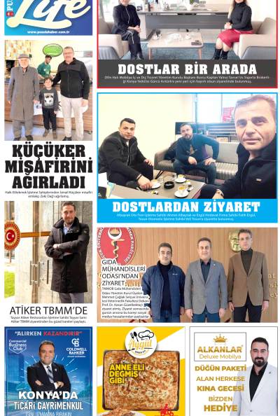 2. Sayfa